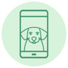 Step icon